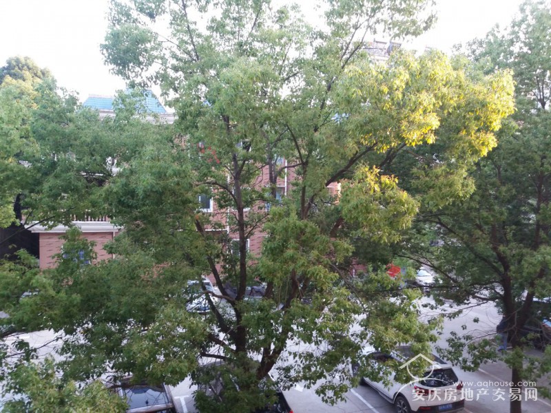 QQ圖片20190509114539